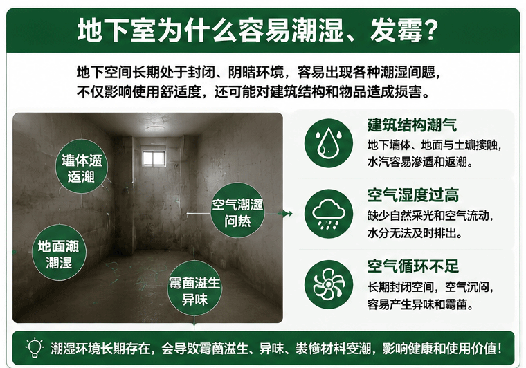 地下室潮湿问题及防潮防霉解决方案
